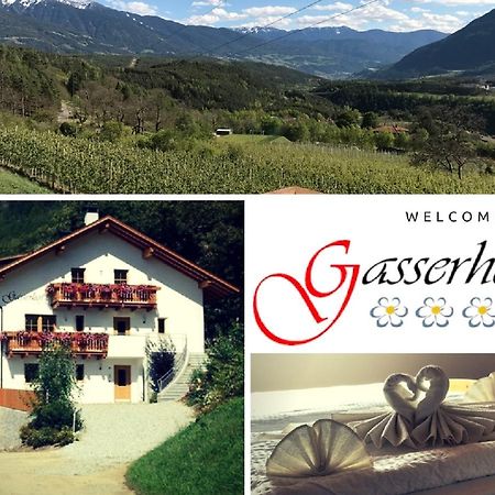 Gasserhof Aicha Natz-Schabs Dış mekan fotoğraf