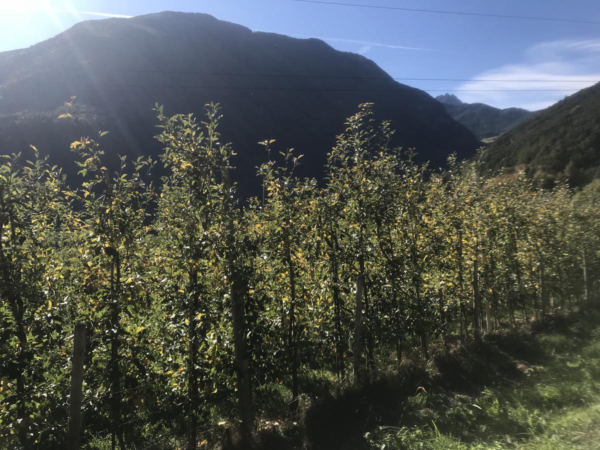Gasserhof Aicha Natz-Schabs Dış mekan fotoğraf