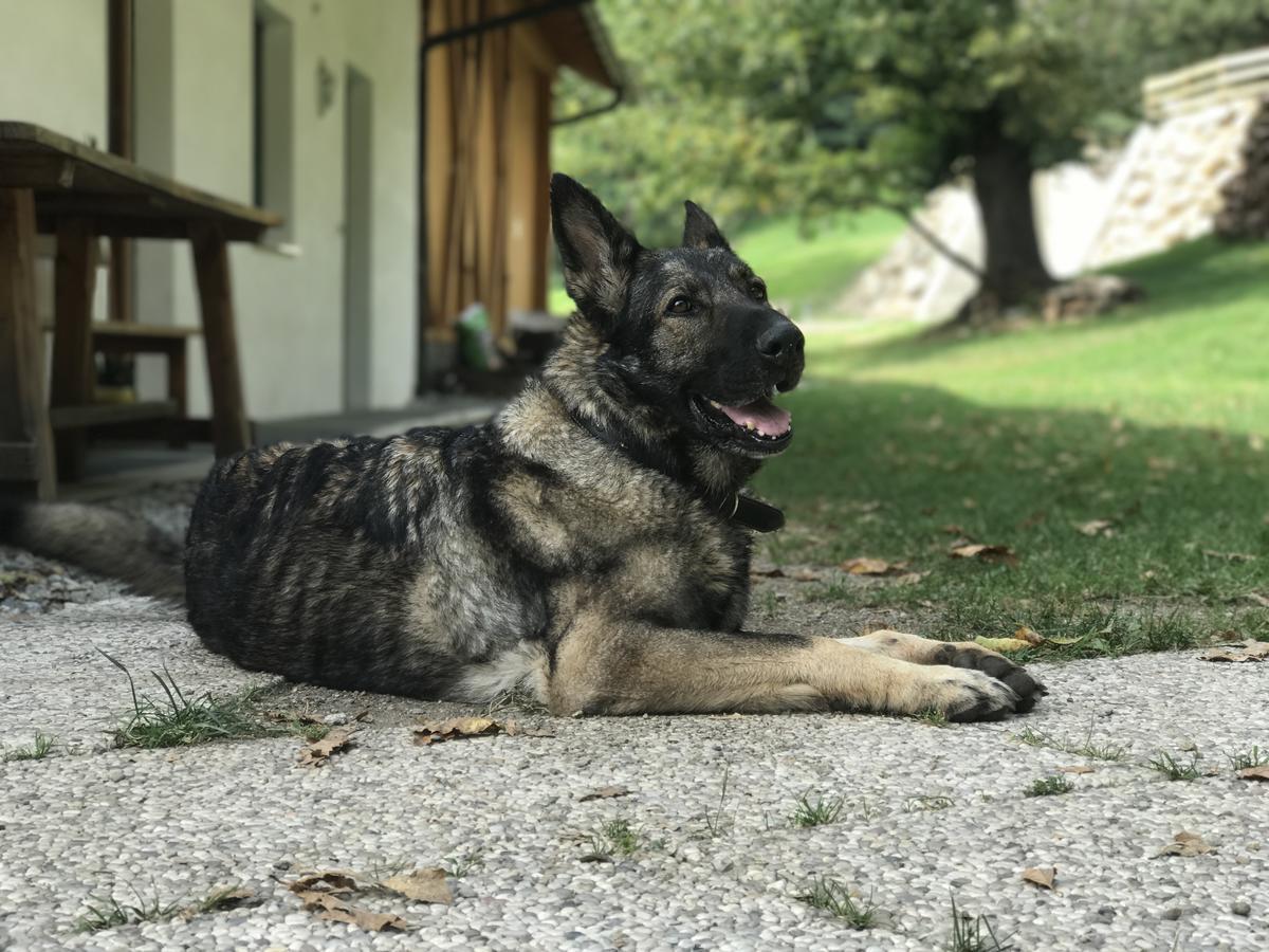 Gasserhof Aicha Natz-Schabs Dış mekan fotoğraf