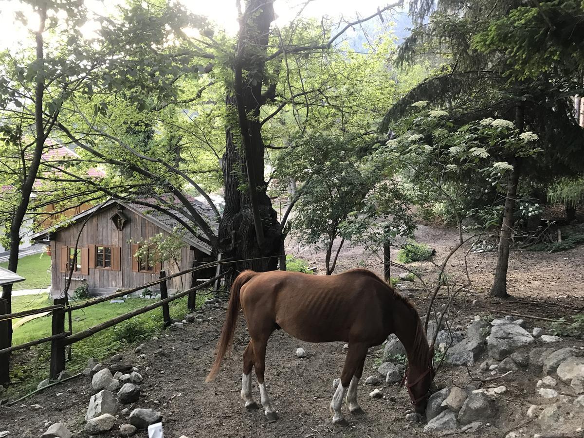 Gasserhof Aicha Natz-Schabs Dış mekan fotoğraf